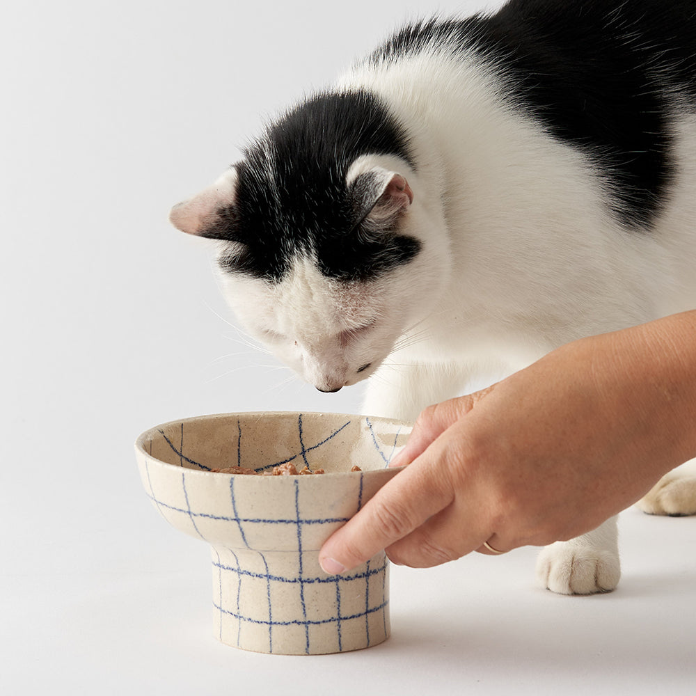 CAT FOOD BOWL