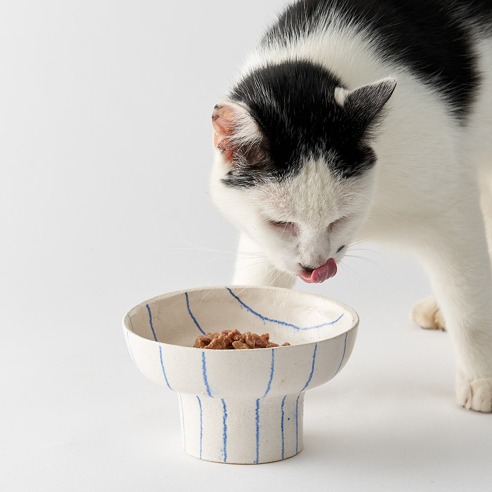 CAT FOOD BOWL