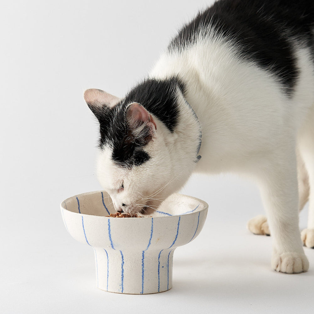 CAT FOOD BOWL