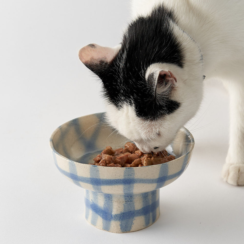 CAT FOOD BOWL